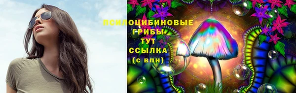 mdpv Бронницы
