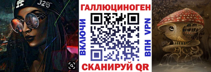 Псилоцибиновые грибы Psilocybe  KRAKEN ТОР  Менделеевск 